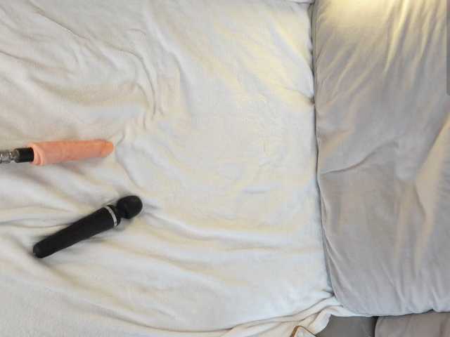 IMNOTSHYBABY live cam on BongaCams