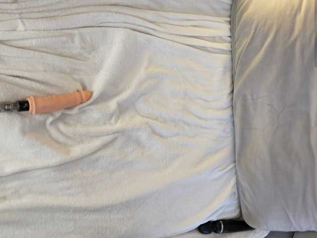 IMNOTSHYBABY, en vivo ahora en BongaCams