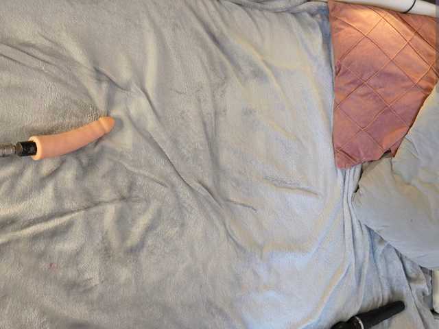 IMNOTSHYBABY live cam on BongaCams