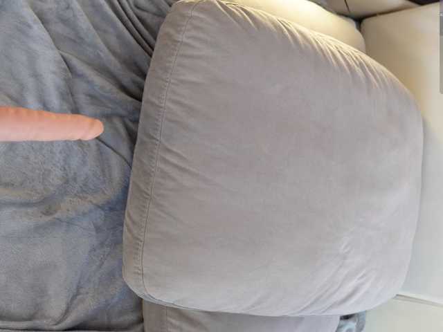 IMNOTSHYBABY live cam on BongaCams