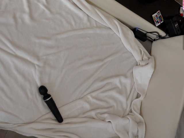 IMNOTSHYBABY live cam on BongaCams