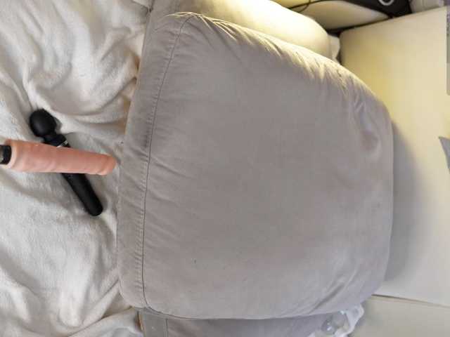 IMNOTSHYBABY live cam on BongaCams