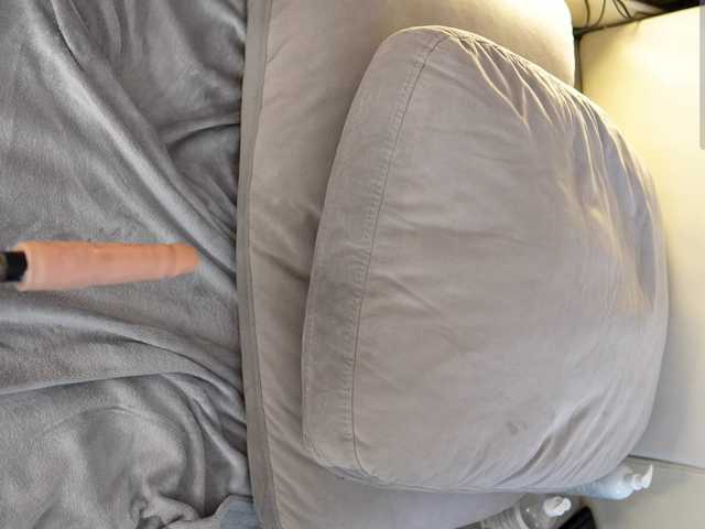 IMNOTSHYBABY live cam on BongaCams