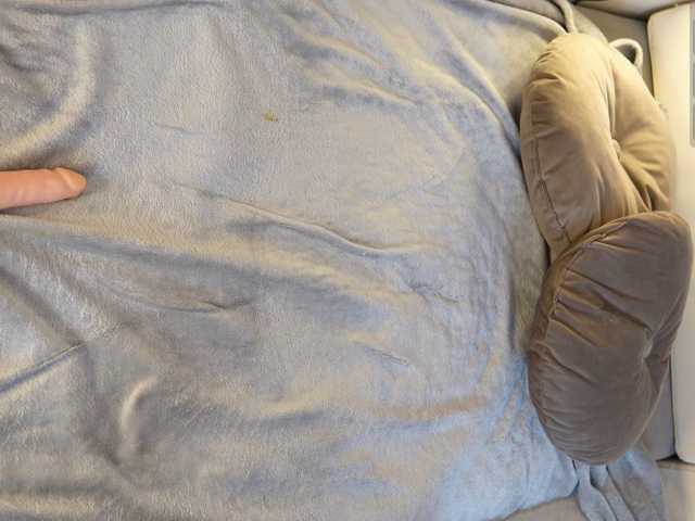 IMNOTSHYBABY live cam preview