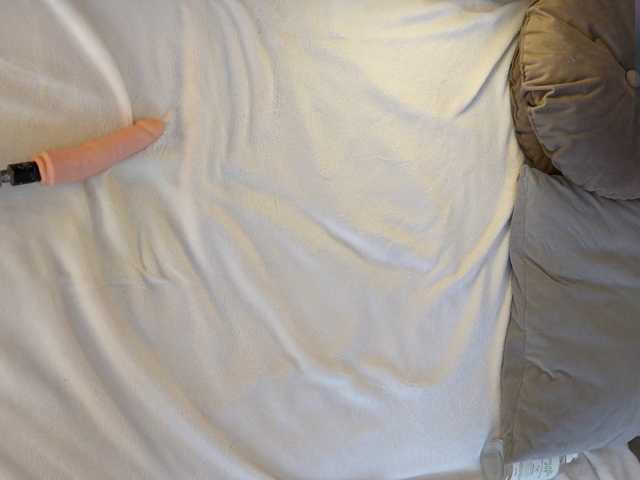IMNOTSHYBABY live cam on BongaCams