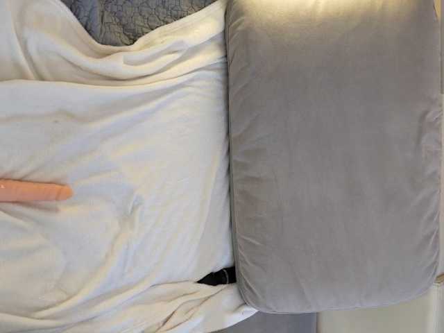 IMNOTSHYBABY live cam on BongaCams