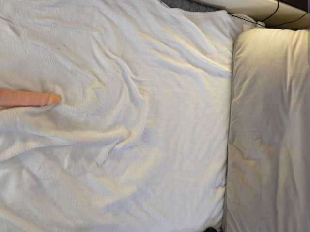 IMNOTSHYBABY, en directo ahora en BongaCams