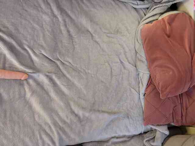 IMNOTSHYBABY webcam