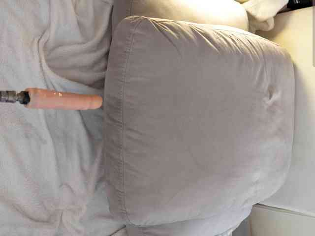 IMNOTSHYBABY webcam