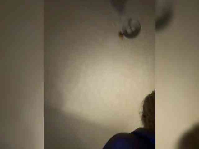 Jazgroganx webcam