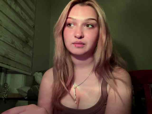 CloudyFoxy webcam