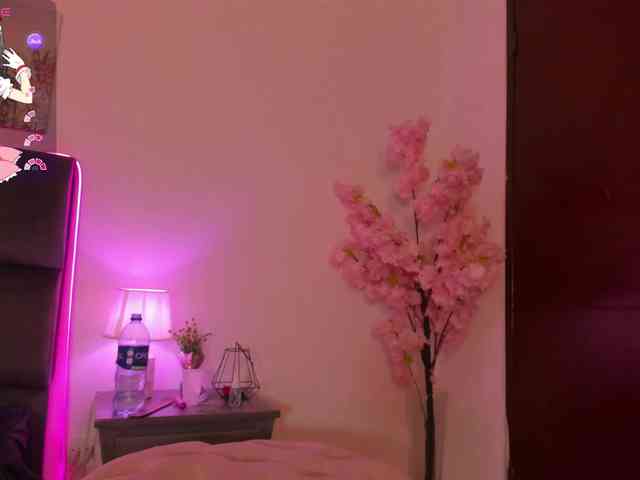 narashine webcam