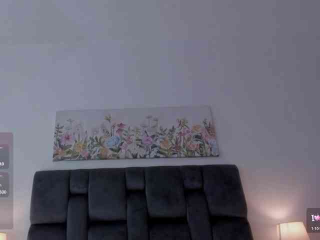 narashine webcam