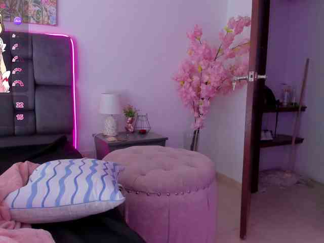 narashine webcam