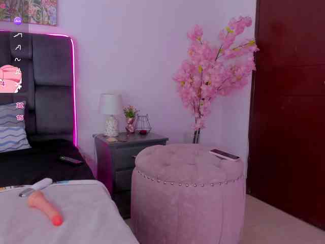 narashine webcam