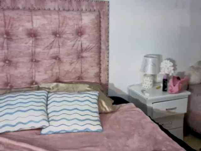 narashine webcam
