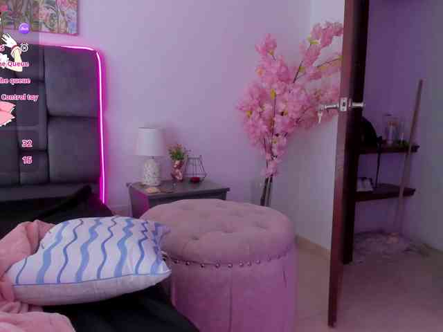 narashine webcam