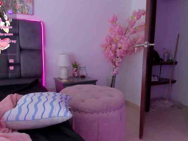narashine webcam