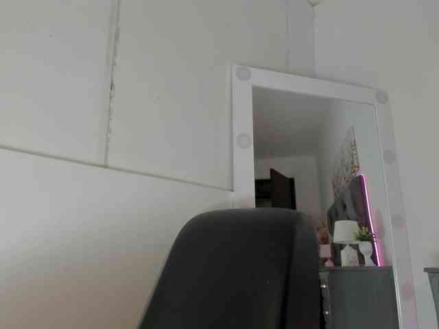narashine webcam