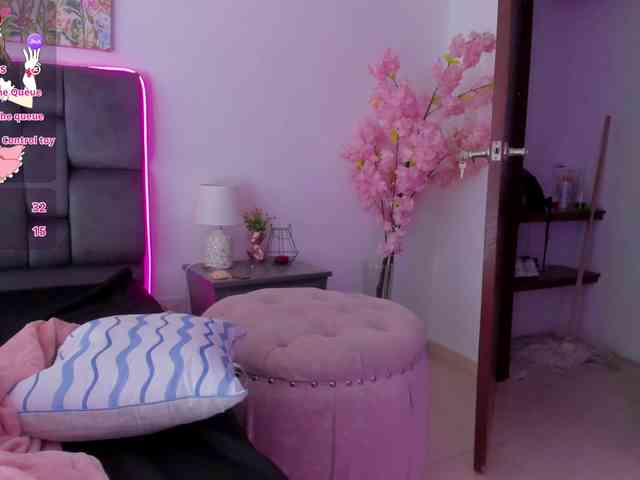 narashine webcam
