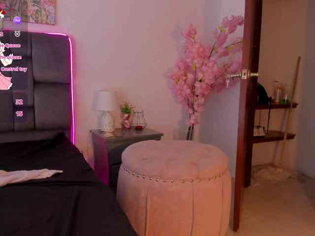narashine webcam