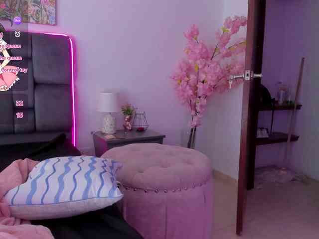 narashine webcam