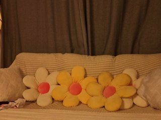 Spicy4u Porn Show