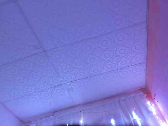 Milly-Way webcam
