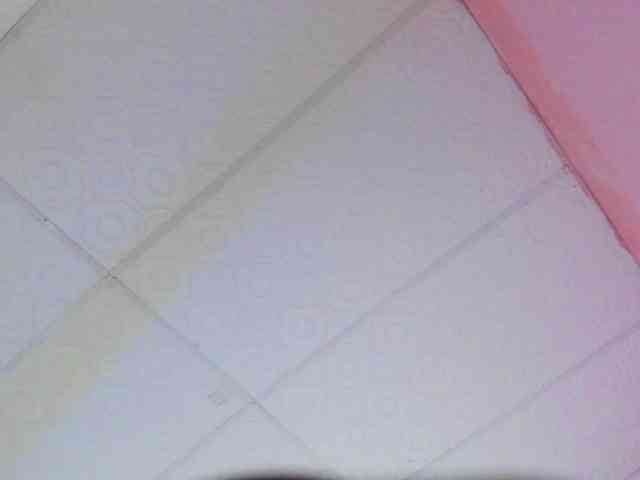 Milly-Way webcam