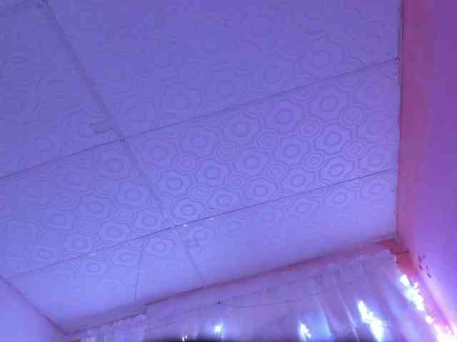 Milly-Way webcam