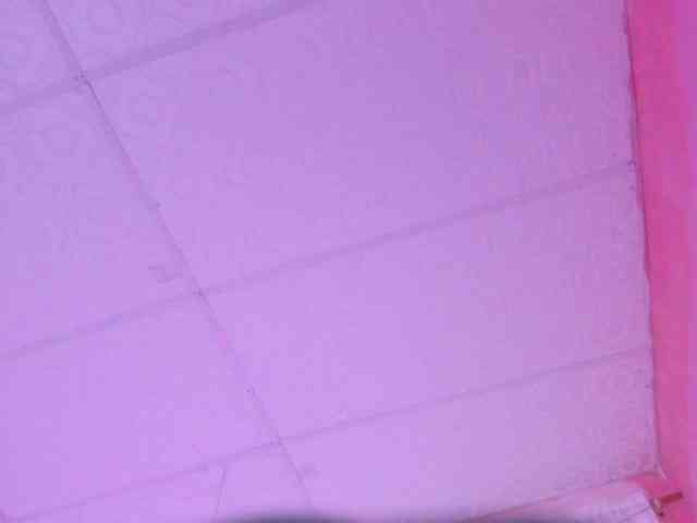 Milly-Way webcam