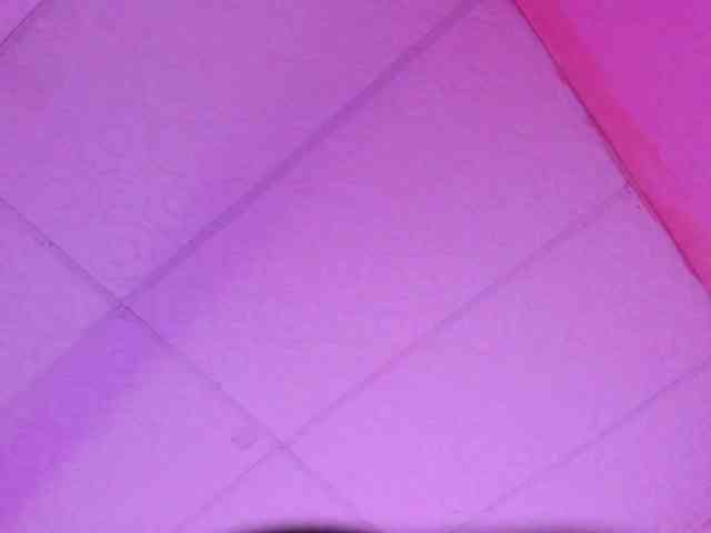 Milly-Way webcam