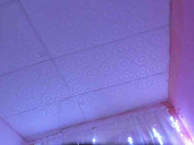Milly-Way webcam