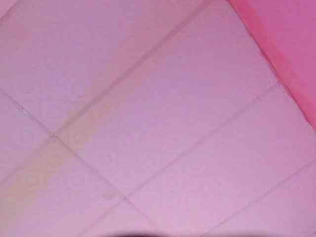 Milly-Way webcam