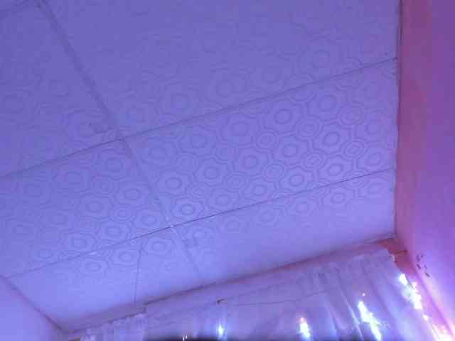 Milly-Way webcam