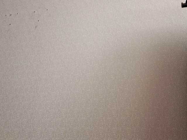 SangBittel live cam on BongaCams