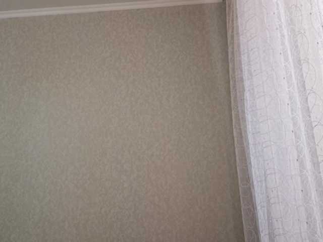 SangBittel live cam on BongaCams