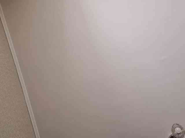 SangBittel webcam
