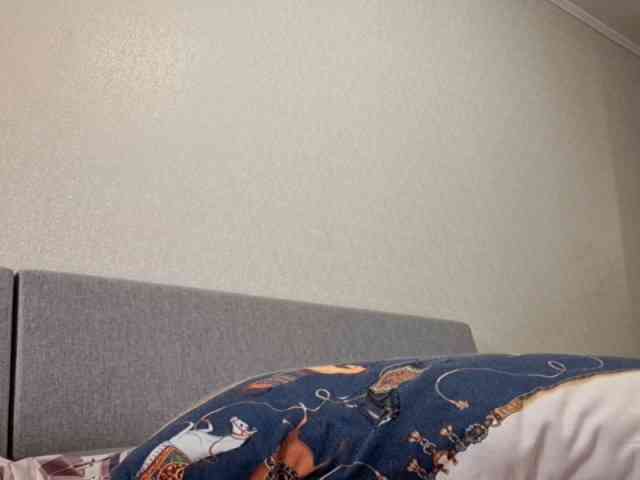 SangBittel webcam