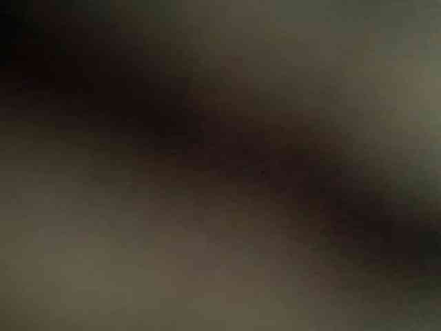 SangBittel webcam
