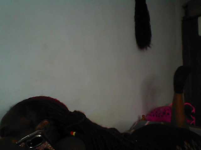 Cutequinebony live cam on BongaCams