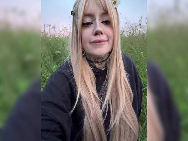 Chibiis