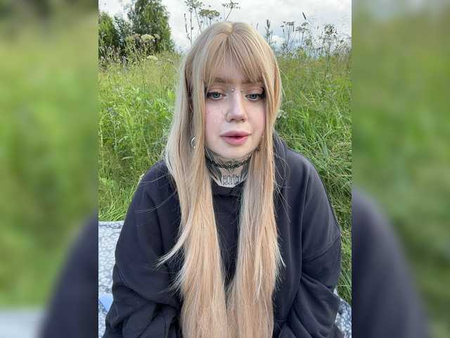 Chibiis