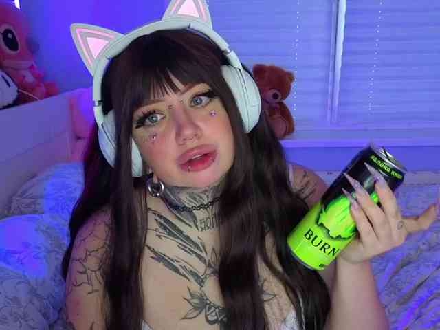 Chibiis webcam