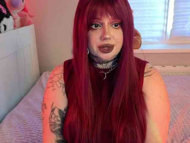 Chibiis webcam