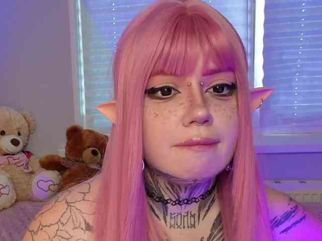 Chibiis webcam