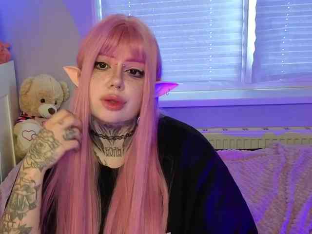 Chibiis webcam