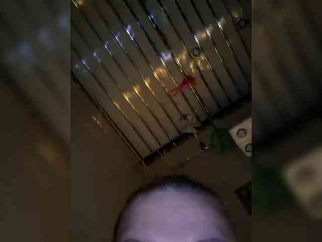 Hellollooll