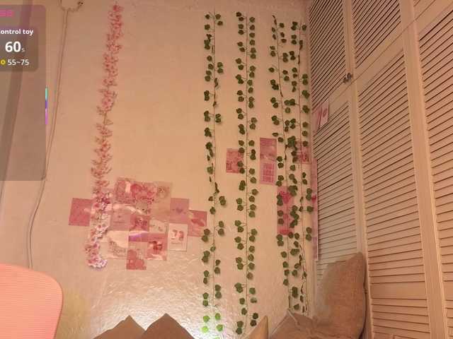 perceivee live cam on BongaCams