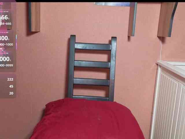 Blesstandem webcam
